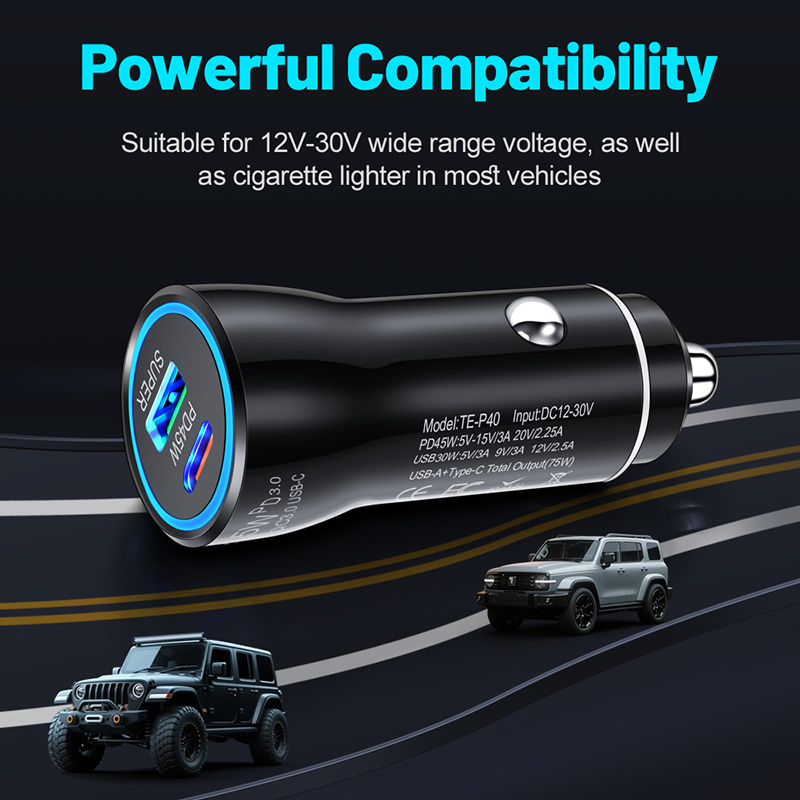 Dual Port 45W USB C Car Charge - Travel Adapter Universal review and price