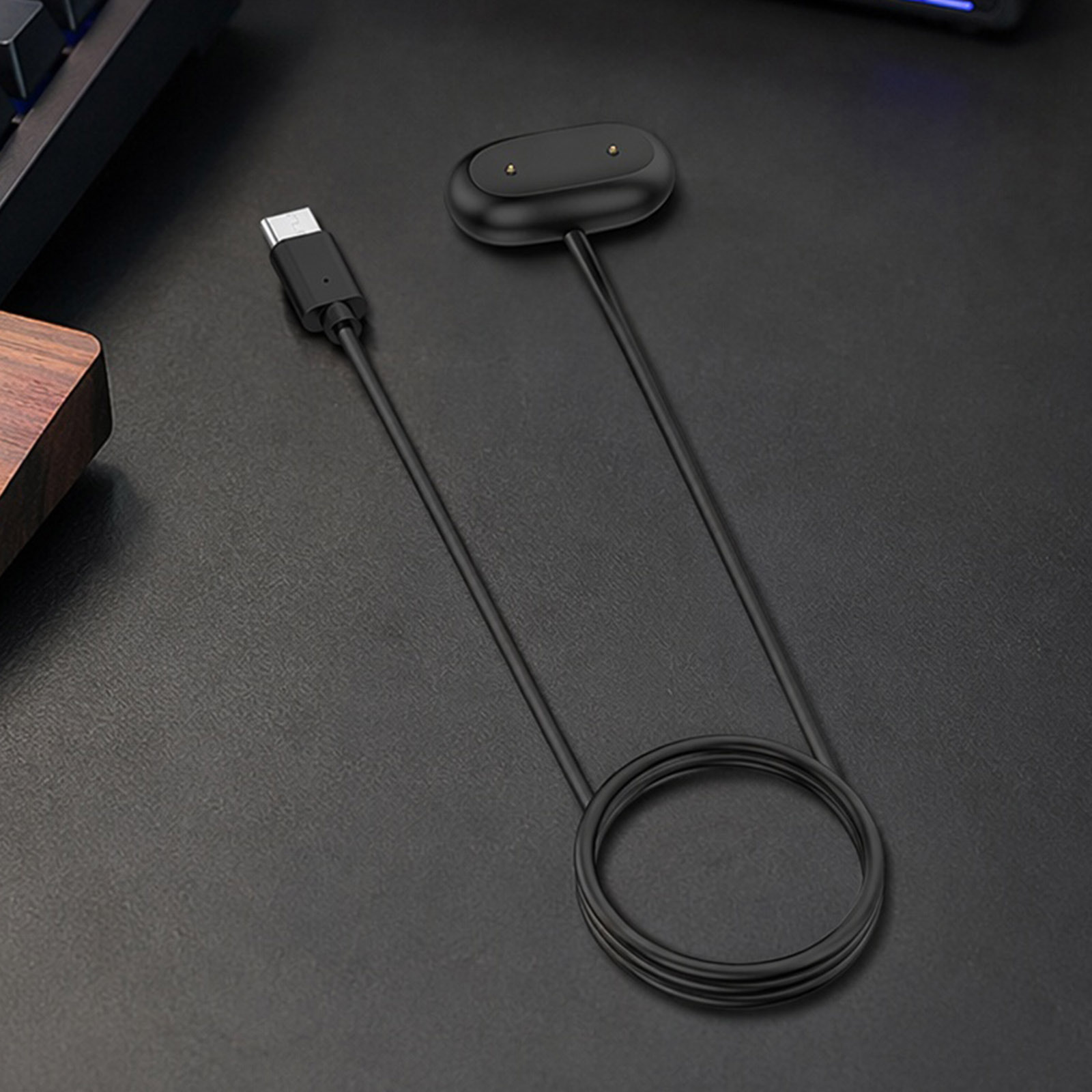 Travel Charging Dock for Fitbi - Travel Accessories Inc review and price